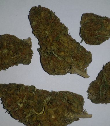 Green Crack